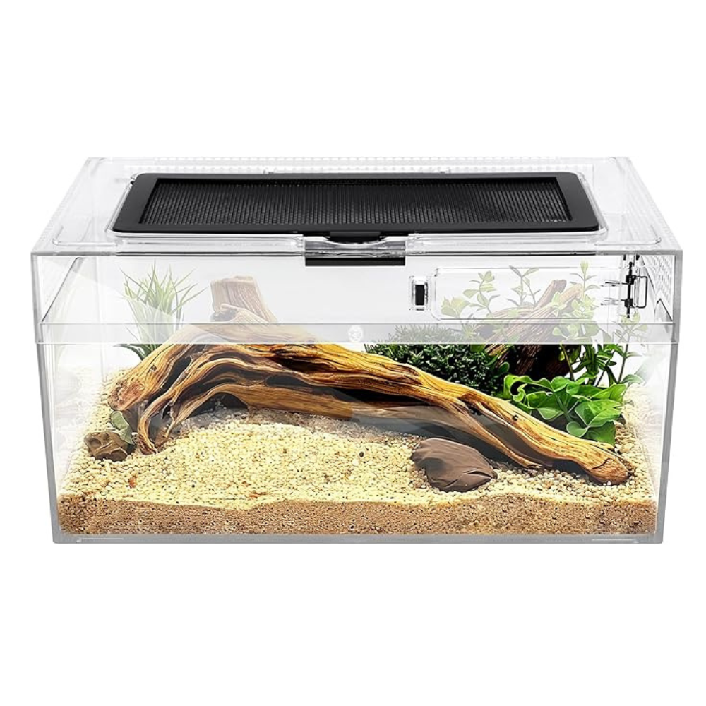 Untitled design - 2025-02-11T232050.613